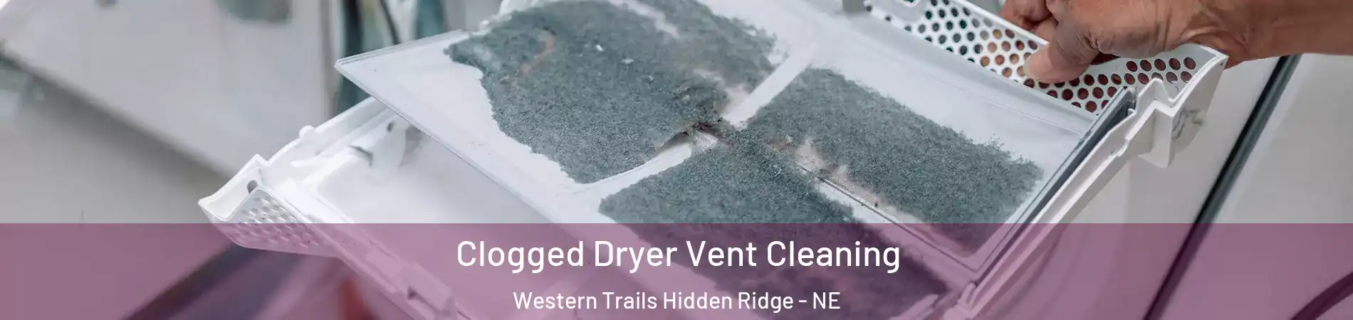 Clogged Dryer Vent Cleaning Western Trails Hidden Ridge - NE