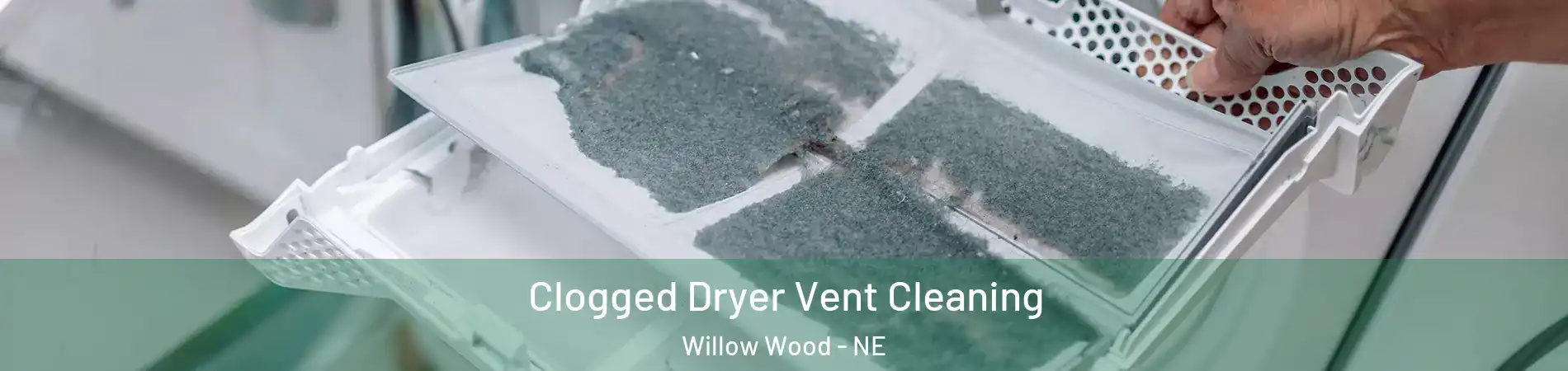 Clogged Dryer Vent Cleaning Willow Wood - NE