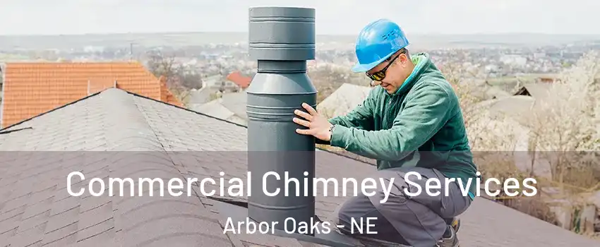 Commercial Chimney Services Arbor Oaks - NE