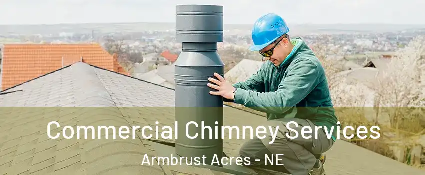 Commercial Chimney Services Armbrust Acres - NE