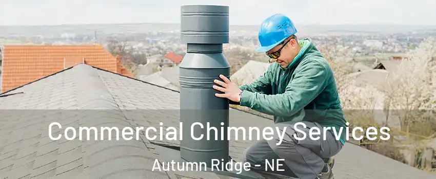 Commercial Chimney Services Autumn Ridge - NE