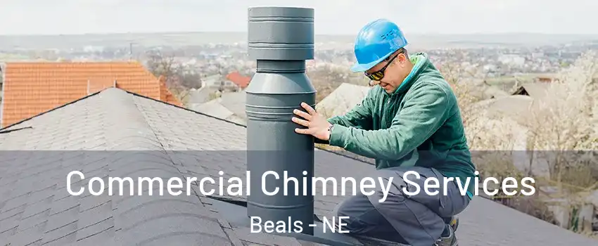 Commercial Chimney Services Beals - NE