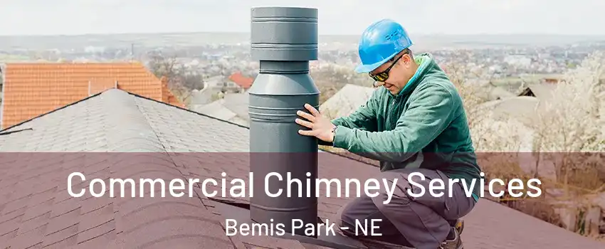Commercial Chimney Services Bemis Park - NE