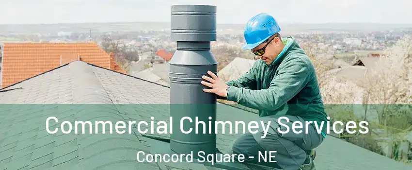 Commercial Chimney Services Concord Square - NE