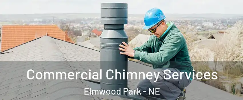 Commercial Chimney Services Elmwood Park - NE