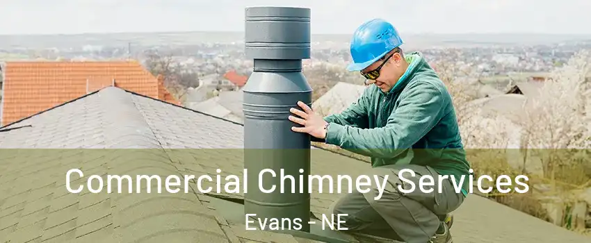 Commercial Chimney Services Evans - NE