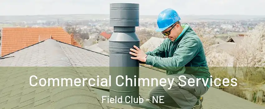 Commercial Chimney Services Field Club - NE