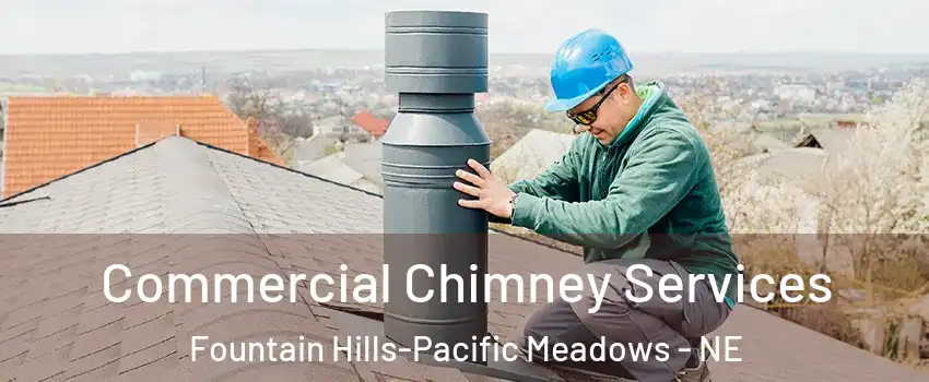 Commercial Chimney Services Fountain Hills-Pacific Meadows - NE