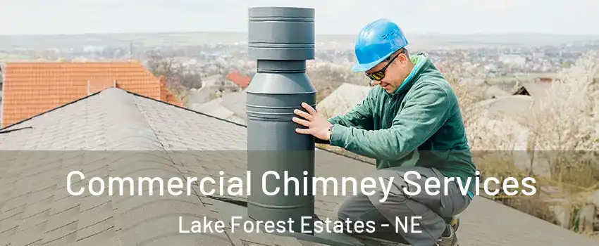 Commercial Chimney Services Lake Forest Estates - NE
