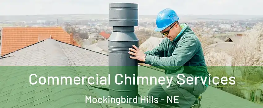 Commercial Chimney Services Mockingbird Hills - NE