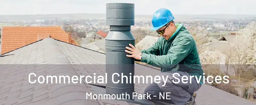 Commercial Chimney Services Monmouth Park - NE
