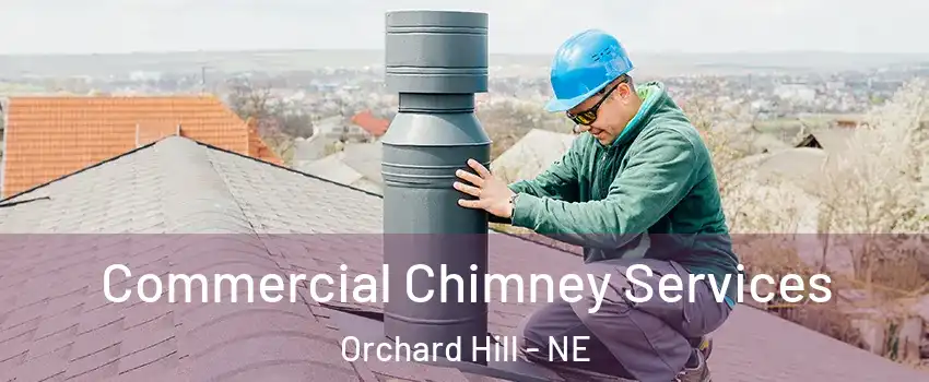 Commercial Chimney Services Orchard Hill - NE