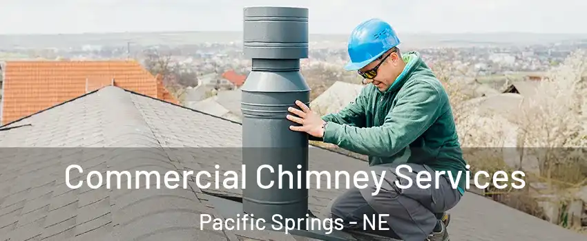 Commercial Chimney Services Pacific Springs - NE