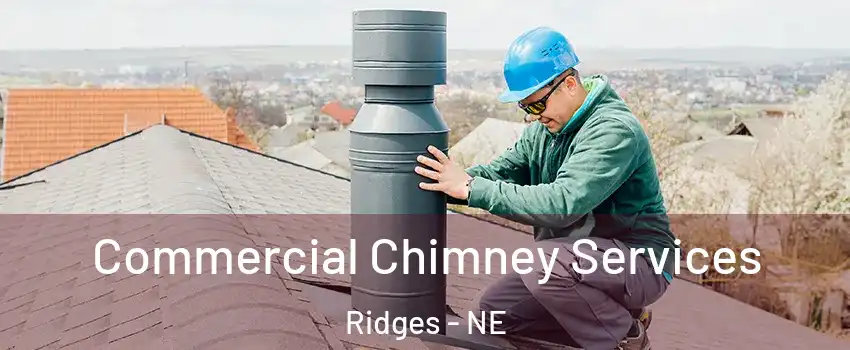 Commercial Chimney Services Ridges - NE