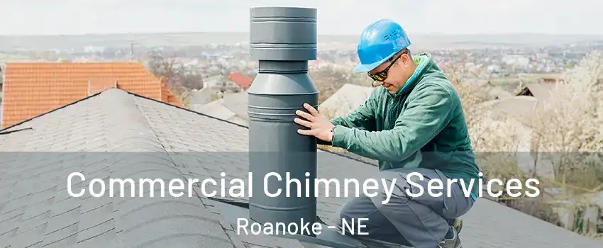 Commercial Chimney Services Roanoke - NE