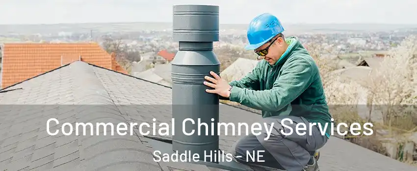 Commercial Chimney Services Saddle Hills - NE