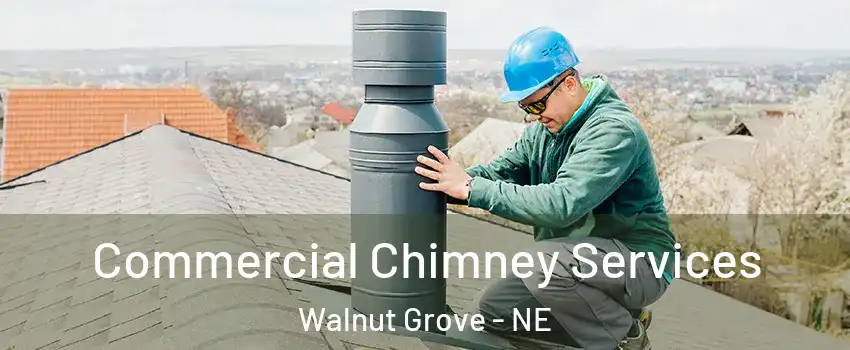Commercial Chimney Services Walnut Grove - NE