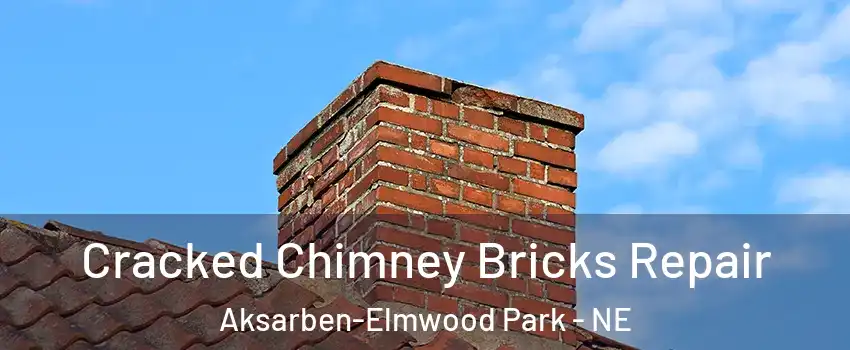 Cracked Chimney Bricks Repair Aksarben-Elmwood Park - NE