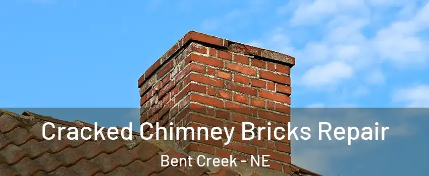 Cracked Chimney Bricks Repair Bent Creek - NE