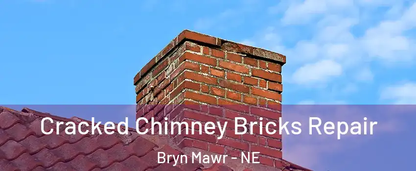 Cracked Chimney Bricks Repair Bryn Mawr - NE