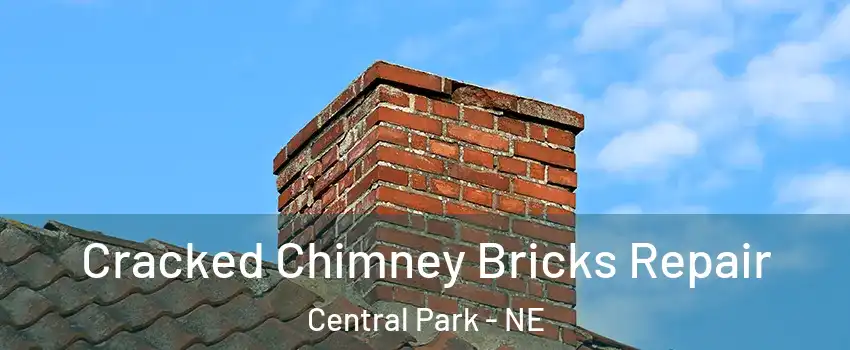 Cracked Chimney Bricks Repair Central Park - NE