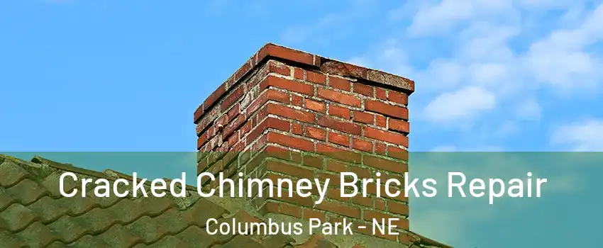 Cracked Chimney Bricks Repair Columbus Park - NE