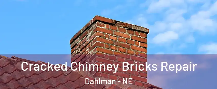 Cracked Chimney Bricks Repair Dahlman - NE