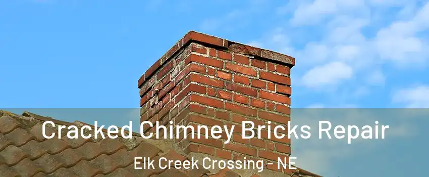 Cracked Chimney Bricks Repair Elk Creek Crossing - NE