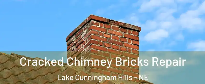 Cracked Chimney Bricks Repair Lake Cunningham Hills - NE
