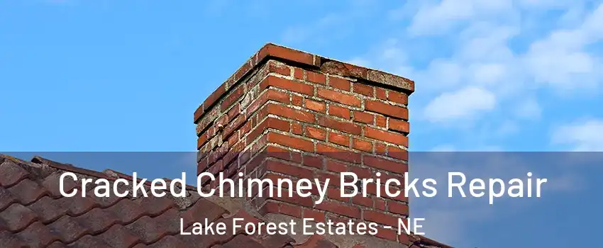 Cracked Chimney Bricks Repair Lake Forest Estates - NE