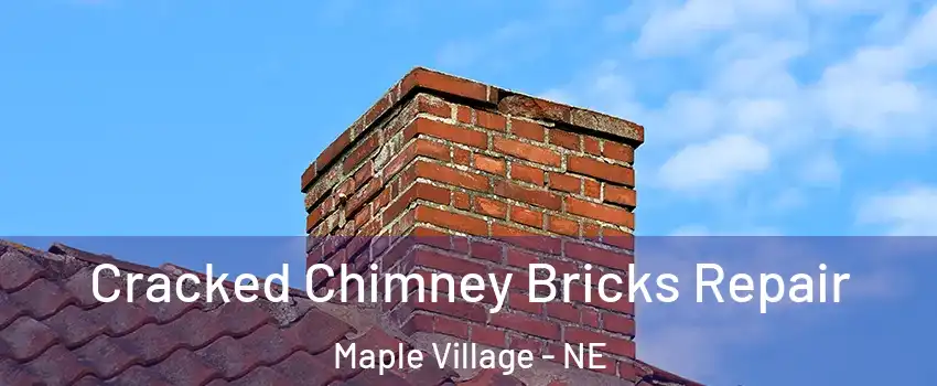Cracked Chimney Bricks Repair Maple Village - NE