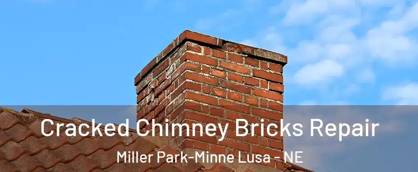 Cracked Chimney Bricks Repair Miller Park-Minne Lusa - NE