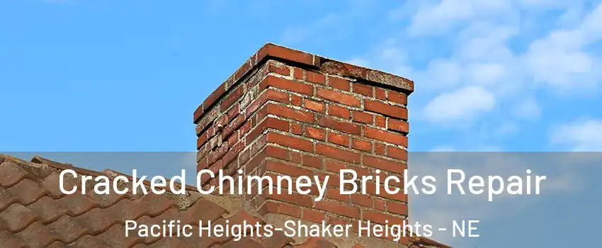 Cracked Chimney Bricks Repair Pacific Heights-Shaker Heights - NE