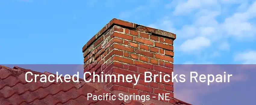 Cracked Chimney Bricks Repair Pacific Springs - NE