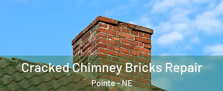 Cracked Chimney Bricks Repair Pointe - NE