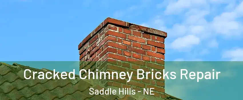 Cracked Chimney Bricks Repair Saddle Hills - NE
