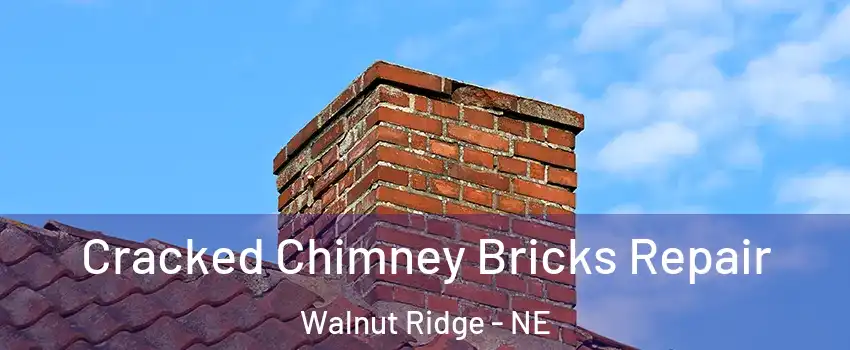 Cracked Chimney Bricks Repair Walnut Ridge - NE