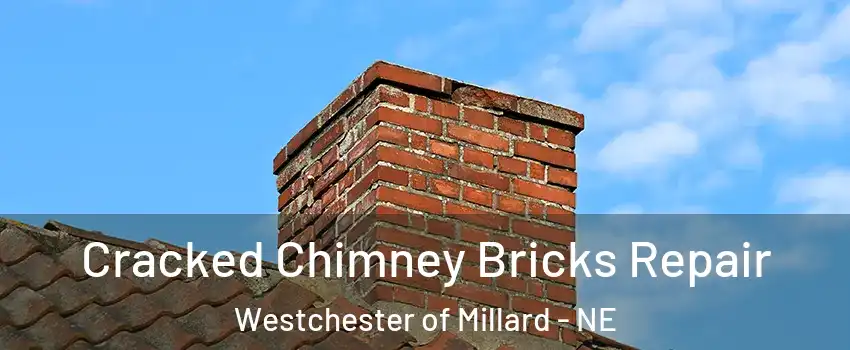 Cracked Chimney Bricks Repair Westchester of Millard - NE