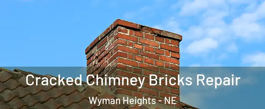 Cracked Chimney Bricks Repair Wyman Heights - NE