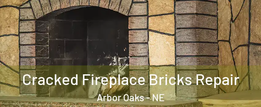 Cracked Fireplace Bricks Repair Arbor Oaks - NE