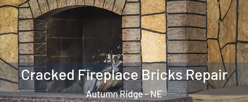 Cracked Fireplace Bricks Repair Autumn Ridge - NE