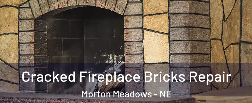 Cracked Fireplace Bricks Repair Morton Meadows - NE