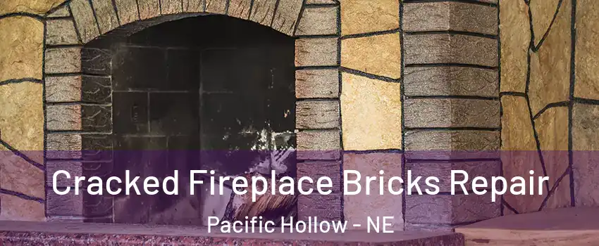 Cracked Fireplace Bricks Repair Pacific Hollow - NE