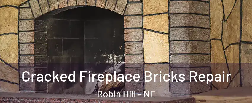 Cracked Fireplace Bricks Repair Robin Hill - NE