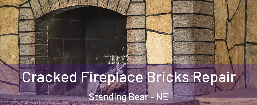 Cracked Fireplace Bricks Repair Standing Bear - NE