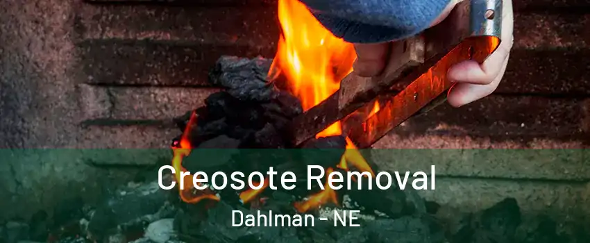 Creosote Removal Dahlman - NE