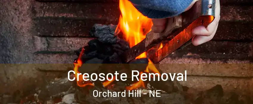 Creosote Removal Orchard Hill - NE