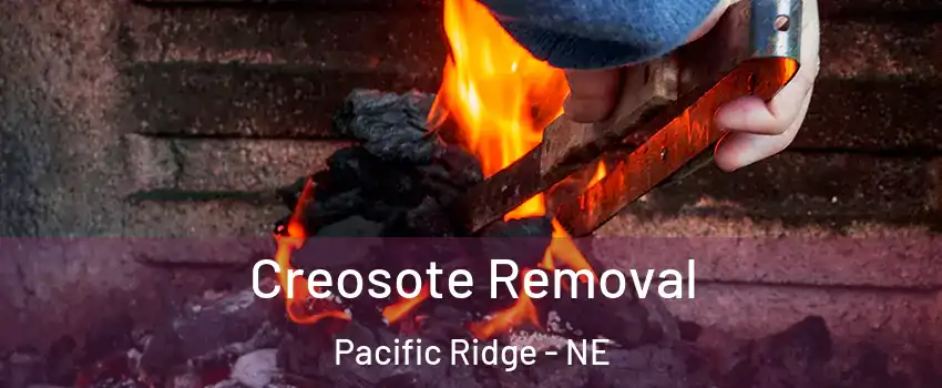 Creosote Removal Pacific Ridge - NE