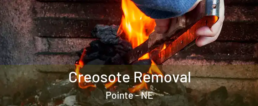 Creosote Removal Pointe - NE