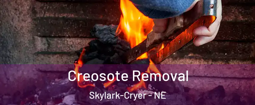 Creosote Removal Skylark-Cryer - NE